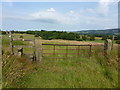 Gate and stile north of Beacon Fell