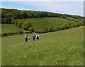 SU8599 : A walking group heading down the hill towards Bryants Bottom Road by Michael Trolove