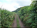 Pathway below the Sugar Loaf