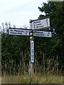 TM3283 : Roadsign on The Street by Geographer