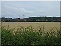 Farmland, Cotgrave