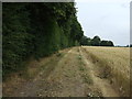 Farm track off Bingham Road