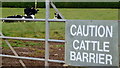 Cattle barrier?