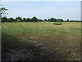 Grazing near Easthorpe