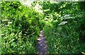 Public footpath from the Sports Ground to Spennells Valley Road, Spennells, Kidderminster