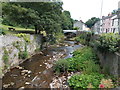 SO0428 : Summertime vegetation in the River Honddu, Brecon by Jaggery