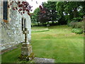 Saint Mary, Alvediston: churchyard (g)