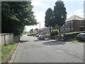 Lillands Lane - viewed from Lillands Terrace