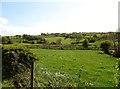 J0128 : Farmland east of Carrowbane Road by Eric Jones