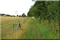 Bridleway to Harcourt Hill