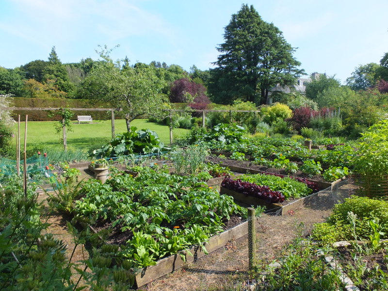 Vegetable garden, Malleny © Barbara Carr :: Geograph Britain and Ireland