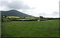 Drumlins east of the Glenloughan Road