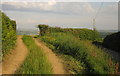 Ramped track into field above Heathfield Farm