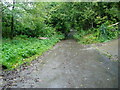 South Downs Way on Glaseby Lane