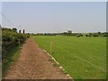 Cattle walkway eastwards