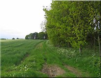 SK6509 : Track from Barkby Holt Lane past woodland by Andrew Tatlow