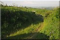 Track to Lower Smeaton Farm