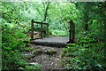 Footbridge in Andrews Wood