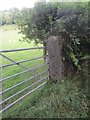 Stone Gatepost