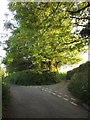 Lane junction near Berry Farm