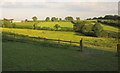 Fields near Clampits