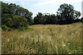 Top of the castle mound