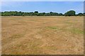 Playing Field on Pennington Common