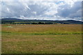 Grassland on Culloden Muir