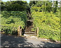 SO1603 : Steps up from Railway Terrace, Hollybush by Jaggery