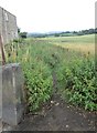 Footpath - Peep Green Road