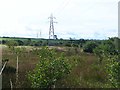 Pylons at Greycraig