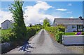 R8281 : Access road near Monsea, Co. Tipperary by P L Chadwick