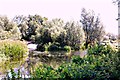 Cuton lock & weir, 2013