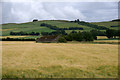 Barn near Lunanhead