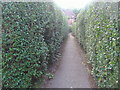 Path between Blandford Close and Greenhalgh Walk