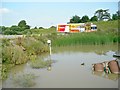 Grubby little pond at Barton Quarry