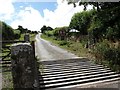 Cattle grid at Dartmoor National Park boundary near Yardworthy