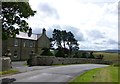 Topiary at Cartington