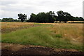 Bridleway to Kinsbridge Farm