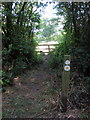 Path to Steeple Claydon