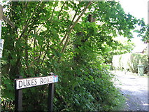 TQ2140 : Dukes Road and bridleway sign off Partridge Lane by Dave Spicer