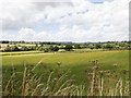 Fields near Sunview Farm