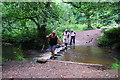 Ford and Stepping Stones at Hanging Water