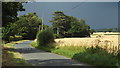 TL3918 : Country lane near Ware by Malc McDonald