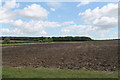 Fields towards Coultas Wood