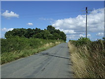 NZ2170 : Lane heading east near West Brunton Farm by JThomas