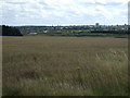 Farmland off Brunton Lane