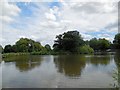TQ2874 : Mount Pond, Clapham Common by Paul Gillett