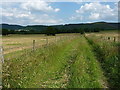 Bridleway above Venus Bank