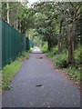 Section of Pantyffynnon to Ammanford cycle path